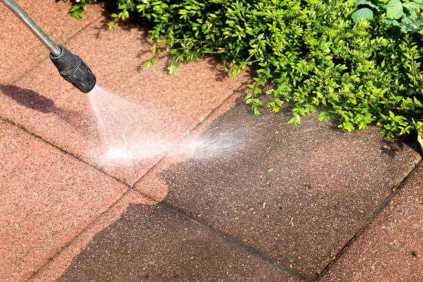 Best Power Washing Near Me  in Combes, TX